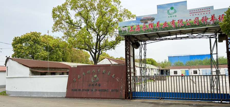 新業(yè)A+PLUS實景