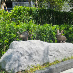 座落於大塊森濤景觀庭園後方的街道家具，以大自然生態(tài)為靈感創(chuàng)作《河畔青青》，建立起土地與建築的對話，承載人們愜意悠然的片刻。