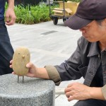 每一隻鳥(niǎo)兒都有著獨(dú)特的姿態(tài)和表情，彷彿在述說(shuō)著它們自身的旅程與故事。