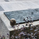 選用基地的石頭來(lái)做街道家俱，運(yùn)用此塊土地生長(zhǎng)出來(lái)的原石，透過(guò)人的創(chuàng)造，分享土地與建築之間的對(duì)話及溫暖守護(hù)的連結(jié)。 