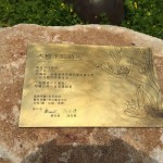 鐵樹與貓，樹屋與鳥，彼此共鳴出有溫度的故事，在此地生根萌芽。