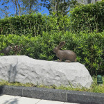 社區(qū)人行道-街道家具