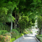 公共人行道 實(shí)景圖