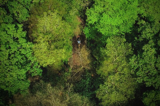 鳥(niǎo)瞰東光園道光景，築森鄰以氧森綠海為伴。