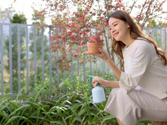 捧起微景，端看大塊美景的縮影。葉片勃發(fā)、欣欣向榮，與『大塊森濤』的靜好歲月相呼應(yīng)。