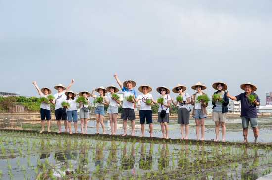 大暑之日，新業(yè)建設(shè)的大家長 穆椿松名譽董事長(右七) 與 卓勝隆董事長(右六)帶領(lǐng)各部門同仁，一大清早，來到契作認養(yǎng)的霧峰田間，體驗農(nóng)家插秧盛事。