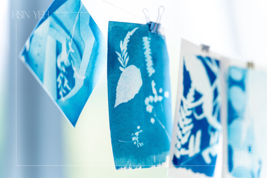 將明信片一字排開，藍(lán)與白的濃淡交織，映照出每位住戶獨(dú)特的創(chuàng)作築跡。