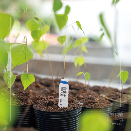 『臺(tái)灣山林復(fù)育協(xié)會(huì)』，核心目的是推動(dòng)本土的生態(tài)教育，進(jìn)行自然棲地的保護(hù)，在地種源的復(fù)育，及推動(dòng)廢耕山坡地順應(yīng)演替復(fù)育為自然森林的工作。