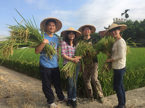 手握一畝田，回以這片土地最敬虔的溫柔。