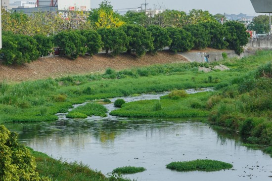 蜿蜒的筏子溪與新業(yè)做鄰居已經(jīng)有一段年月，縱長的河道是小魚小蝦們的家，讓我們一起保護牠們的家園，付出行動愛地球。