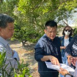 即使是一棵樹的規(guī)劃，也需方方面面、適居適所，為住戶帶來最能契合生活的好鄰居，打造自在森活的綠意空間。