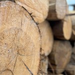 細看木紋的肌理、柔和，展現(xiàn)獨一無二的歲月，自然色澤，不僅帶來舒心感受，也能提升居家空間質(zhì)感。