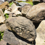 每一顆石頭背後乘載無盡的歲月，塵土與大地的繾綣，風吹水流，留下獨特紋理、歷史刻痕，堅毅的外殼更富含著溫柔的故事。