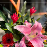 良辰吉日，透過(guò)聲聲祝禱，繫起天地與人之間的對(duì)話，期盼2024年完工的【築森鄰】完美收尾。