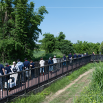 南勢(shì)溪集水面積約9.53平方公里，水質(zhì)良好，周圍仍保留自然生態(tài)風(fēng)貌，水利局打造1.8公里長(zhǎng)的河流與綠親水廊道，透過廊道下到溪邊與自然更加親近。