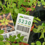 當(dāng)天新業(yè)夥伴們不只身體力行的為苗木進(jìn)行換盆作業(yè)，也捐出發(fā)票，為臺(tái)灣淺山森林再出一份力，也邀請(qǐng)更多的人共同關(guān)注 ＃我愛(ài)山林_5230。