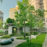 「懷念往事」是流蘇的花語(yǔ)。微風(fēng)輕拂，憶起那曾經(jīng)的往事，在飛舞的流蘇中細(xì)細(xì)品味！