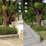 「幫近20棵的茄苳樹(shù)換新家」－因原有的花臺(tái)過(guò)小，喬木生長(zhǎng)空間有限，新業(yè)團(tuán)隊(duì)重新打造舒適的巢穴。