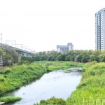 與家族相聚於西屯路永安橋的筏子溪，即將在此展開一場意義非凡的生態(tài)保育行動。