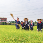 每逢秋旬，稻田阡陌相連，瀰漫著稻草與泥土的芬芳，成就了一串串飽滿稻穗，在秋收時(shí)節(jié)，一同感受來自大地的禮贊。