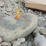 依循腦海中的畫面，選定原石後繫上記號，未來將成為社區(qū)內(nèi)的工藝亮點。