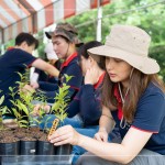 確切的紀錄樹苗品種及分盆日期，分盆完的小樹苗會統(tǒng)一放在中央培育區(qū)，待長到30CM至1M再種到大肚山。