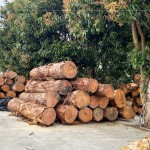 透過素材再利用，延續(xù)了木材的價值，新業(yè)積極響應(yīng)永續(xù)發(fā)展，打造與自然共存的建築。