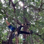 樹林中的「蜘蛛人」，利用腳鎖式（Footlock）快速攀升到切點(diǎn)，時(shí)而擺盪、時(shí)而穿梭林間，其中技巧有著大大學(xué)問。