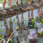 感受大地的生命力，帶來溫柔的印記，農(nóng)作以風(fēng)味，記載了大自然不朽的魅力。