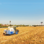 放眼望去猶如金黃稻浪，結(jié)綴累累的稻穗是農(nóng)民們辛勤付出的最美風(fēng)景。