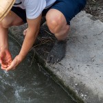 用清水將雙腳洗淨(jìng)，感受大自然的洗禮，就像是一場踏入自然界的感官之旅。