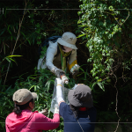 帶上夾子、爬上邊坡，草堆之間可以明確看到這些待清除的「不塑之客」，唯有仔細(xì)尋覓，才能還給河川與自然乾淨(jìng)的家園。