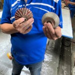 專業(yè)磨石材「造型師」登場！左邊的工具適合硬度較高的花崗巖，右邊則適合切割硬度較軟的大理石，儼然已經(jīng)摸清石材的脾氣與習(xí)性，不同石材也需要不同的工具處理。