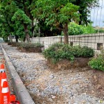 舊有人行道拆除工程，新業(yè)保留原有的樹(shù)穴，還給喬木更多的生長(zhǎng)空間，美化的同時(shí)也善待環(huán)境。