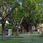 綠意盎然的臺(tái)中文學(xué)館，有近百株繁盛花草樹木，環(huán)繞日式時(shí)代的百年建築，有著說不完、道不盡的人文歷史，不妨親自巡禮一番。