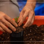 透過手的溫度，傳遞對自然環(huán)境的關懷，一棵樹是人與土地的連結，希望透過努力、堅持與分享，讓臺灣『大肚山–淺山森林』恢復到應有的自然樣貌與內涵。