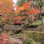 山號「一乘山」的根來寺，美景俯拾即是，滿園的楓紅落葉紅了南紀的秋天。