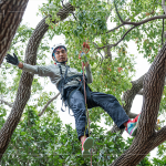 接獲攀樹挑戰(zhàn)的大人們，不惶多讓直攀樹稍，近距離欣賞樹冠的雄偉壯麗