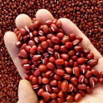 高雄9號，外型圓潤健康的紅豆，背後隱藏著農民們的悉心照料，就像把米豆視為己出般，紅豆的價值，想必農民最能深刻知曉。