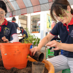 透過(guò)植樹(shù)活動(dòng)落實(shí)減碳淨(jìng)零計(jì)畫(huà)，新業(yè)以實(shí)際行動(dòng)展現(xiàn)對(duì)這片土地的關(guān)懷，為環(huán)境共生、守護(hù)生物多樣性而努力。