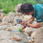 特別挑選顏色鮮豔的『黃金角石』，鋪墊後院生態(tài)水池的底部，即使是一顆顆石頭的規(guī)劃，也需要適居適所。