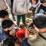 荒野保護(hù)協(xié)會(huì)總顧問(wèn)-林笈克親臨現(xiàn)場(chǎng)，特地下溪捕撈小魚(yú)，有原生種鯽魚(yú)、吳郭魚(yú)、紅魔鬼等，不僅讓大小朋友認(rèn)識(shí)牠們，也更加了解筏子溪的多元生態(tài)，並於結(jié)束時(shí)將這些小魚(yú)們放回屬於牠們的家園。