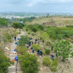 防火林帶建置—保留了野生樹種，種下榕屬植物，透過樹島的母樹大量逸散種子，長出野生樹苗，來加速森林演替、生生不息。