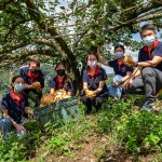 7年來(lái)，新業(yè)持續(xù)以行動(dòng)支持小農(nóng)，也實(shí)際參與上山採(cǎi)收水梨的過(guò)程，體會(huì)農(nóng)民們的辛勞，讓我們更珍惜當(dāng)下所擁有的。（圖右一為新業(yè)建設(shè)邱正光副總經(jīng)理）