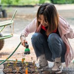 將分盆好的樹苗放置育苗方盤中，將這些剛搬新家的小樹苗們澆點水，後續(xù)統(tǒng)一放在中央培育區(qū)，慢慢長大。