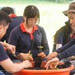 透過植樹活動落實減碳淨零的計畫，新業(yè)希望以行動展現(xiàn)對這片寶島土地的關懷，齊心打造綠色永續(xù)環(huán)境。