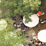 森林裡的春日漫遊，在陽(yáng)光下放鬆身心，沿著小徑慢慢散步，靜靜地為自己充電，收集生活中的簡(jiǎn)單美好。