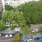 植物茂密繁盛，書香氣息瀰漫，1863坪內(nèi)的百年榕樹，樹大根深的高木，伴隨其他樹種，更顯綠意盎然的景致。