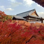 楓紅灑落，一片紅海蔓延至東福寺通天閣，一片靜謐彷若與世無爭的世外桃源。