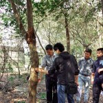 樹形整體飽滿度、分枝錯(cuò)落的方向，360°觀看下是否皆能達(dá)成美的平衡等皆是新業(yè)選樹的考量。